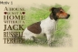 Preview: Metallschild Jack Russell Terrier